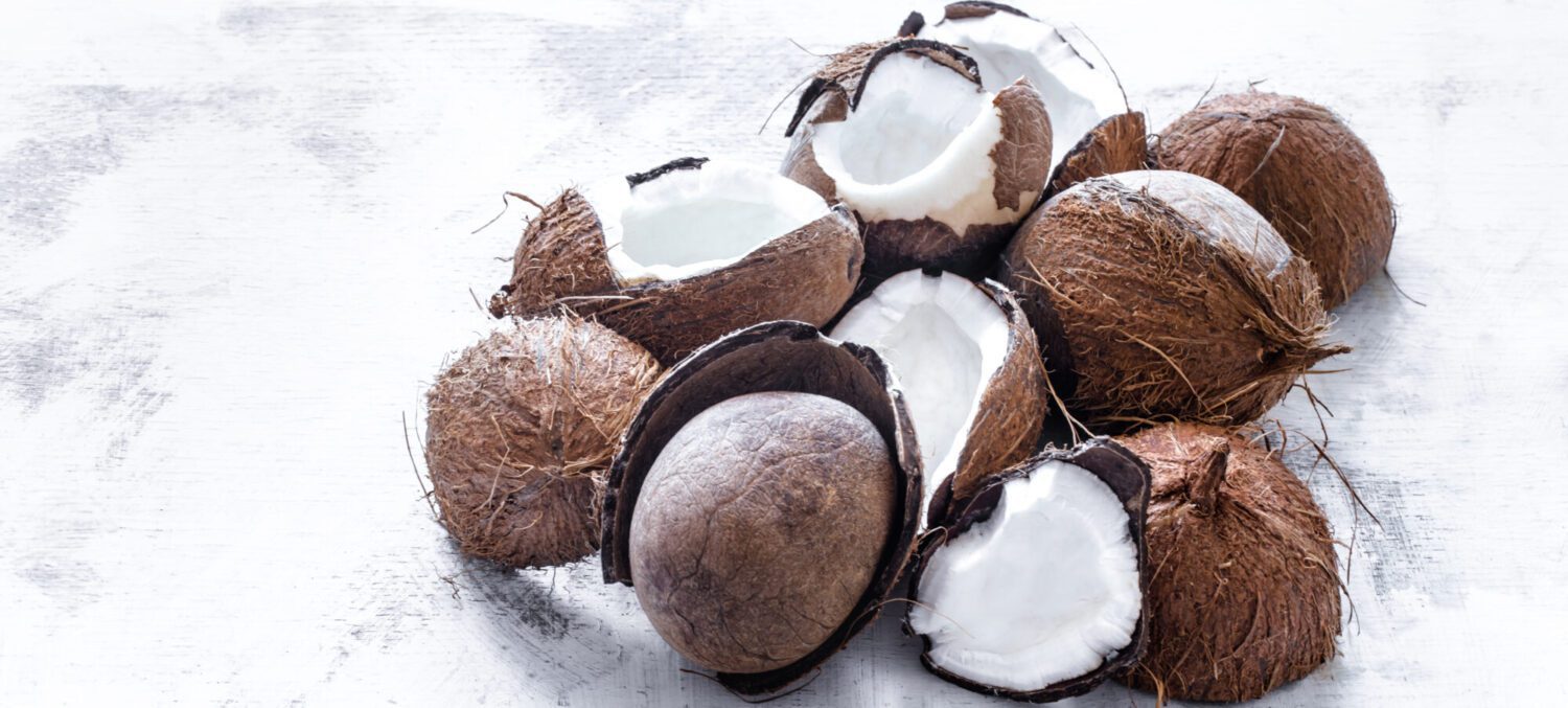 fibre de coco