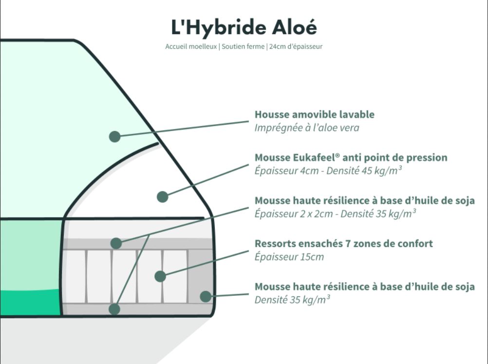 composition Hybride aloe matelas vert
